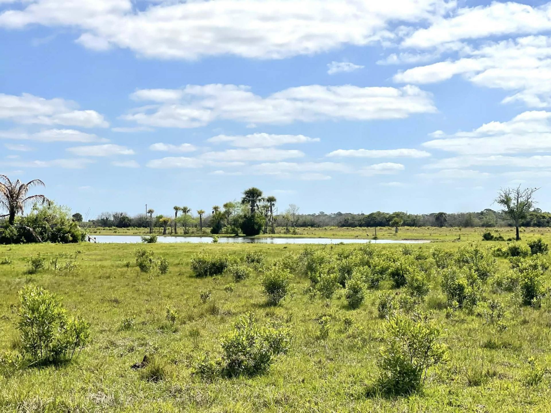 8121 NW 58th Lane, Okeechobee, FL 34972 Photo
