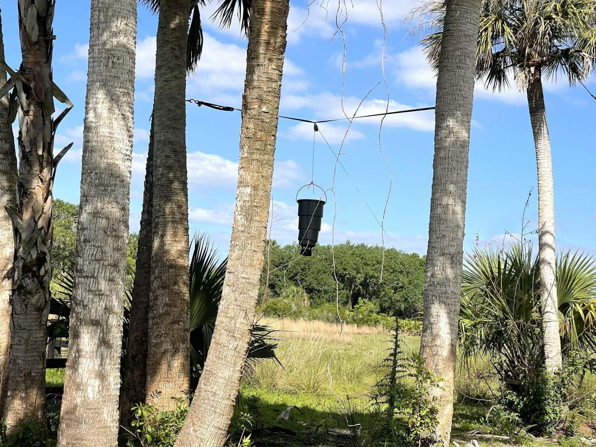 8121 NW 58th Lane, Okeechobee, FL 34972 Photo