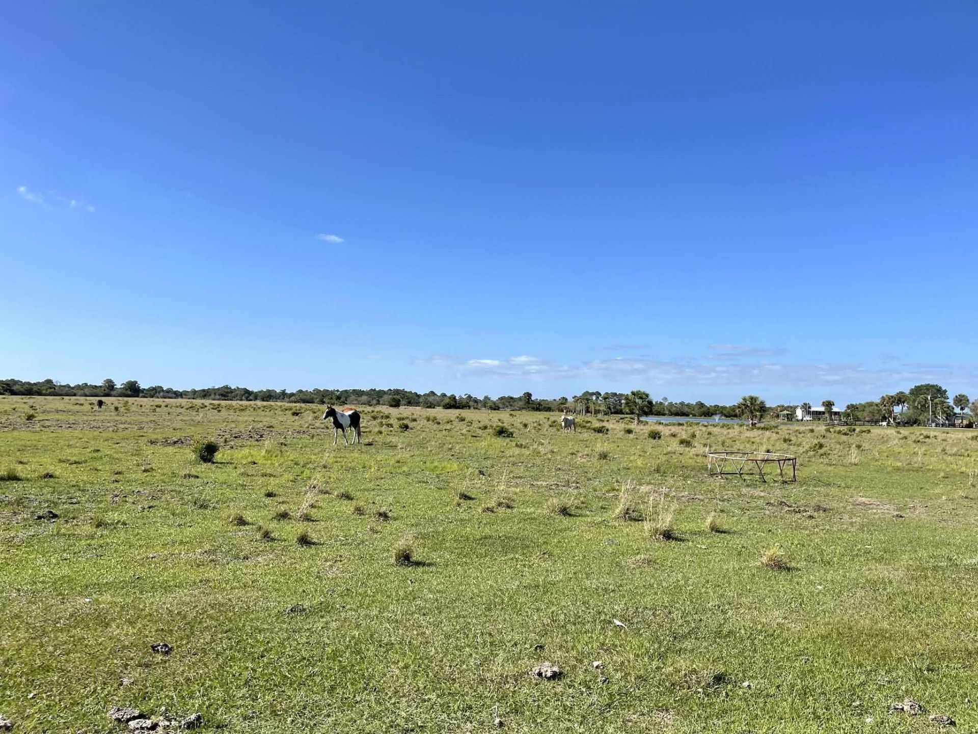 8121 NW 58th Lane, Okeechobee, FL 34972 Photo