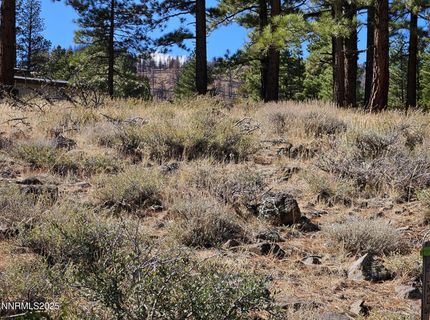 95 Bennington Court, Lot #330, Reno, NV 89511 Photo