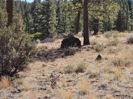 95 Bennington Court, Lot #330, Reno, NV 89511 Photo