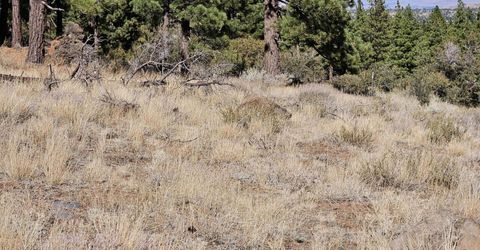 95 Bennington Court, Lot #330, Reno, NV 89511 Photo