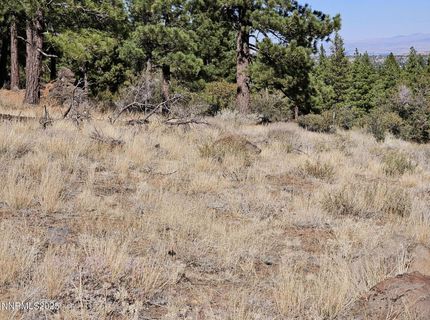 95 Bennington Court, Lot #330, Reno, NV 89511 Photo