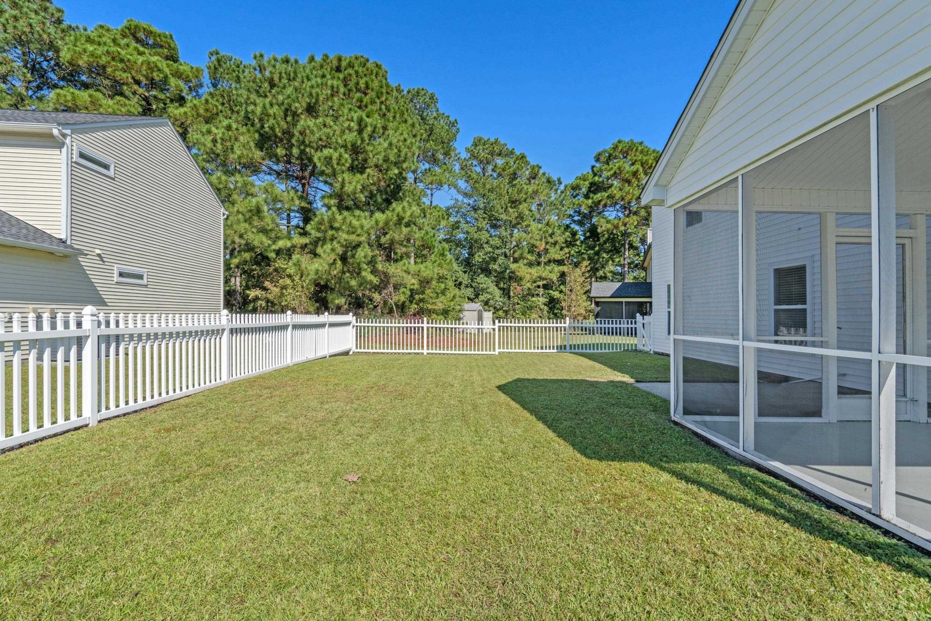 301 Black Willow Ct.  Photo 18