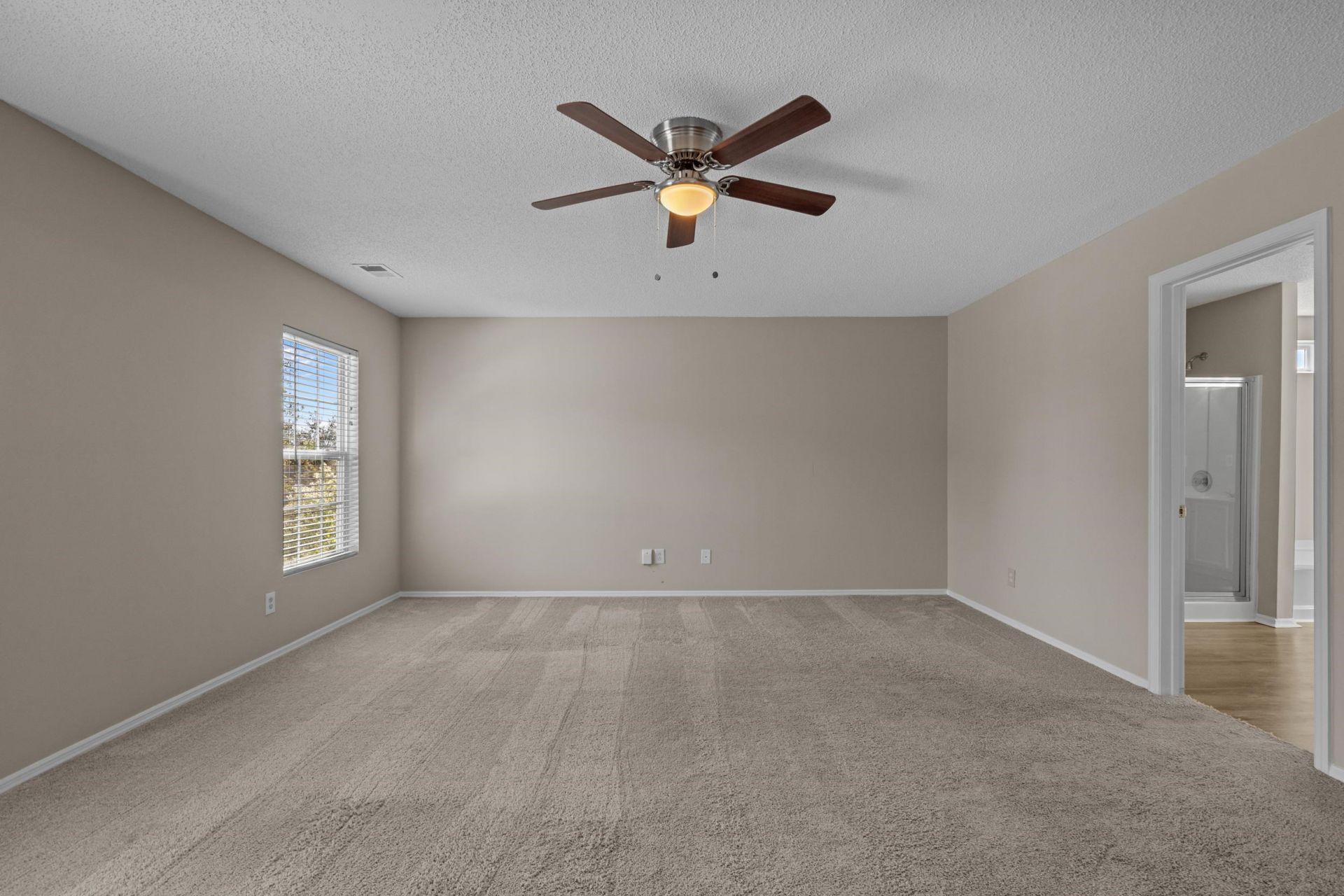 301 Black Willow Ct.  Photo 29