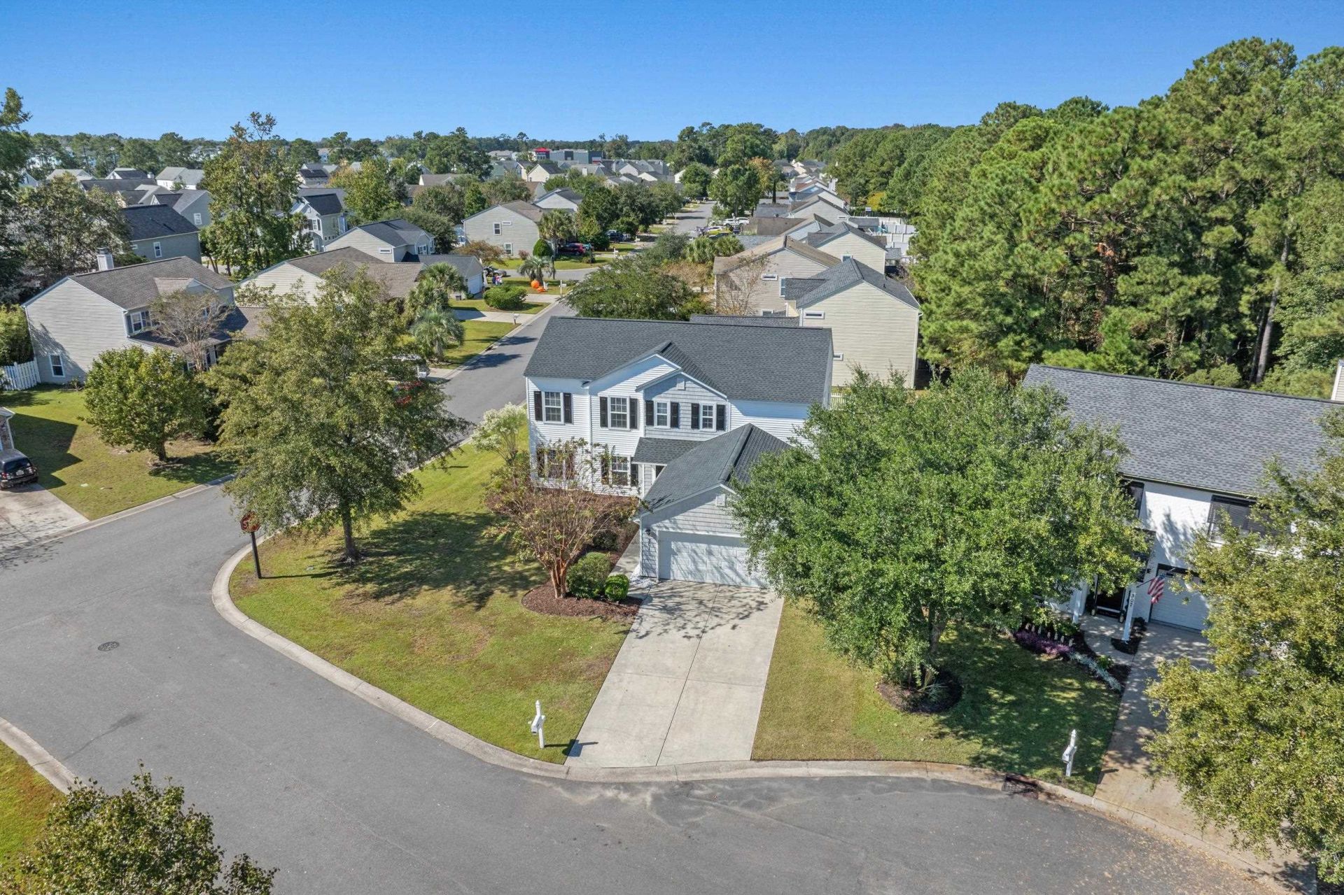 301 Black Willow Ct.  Photo 4