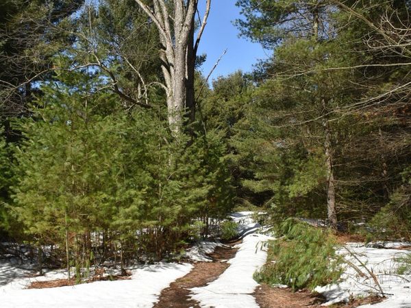 Roop Road, Kingsley, MI 49649