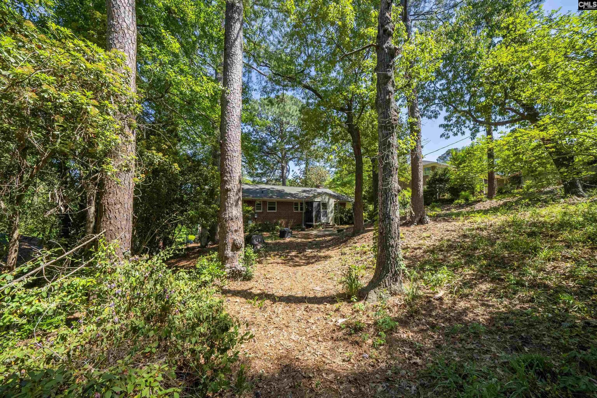 3133 Chinaberry Drive  Photo 30