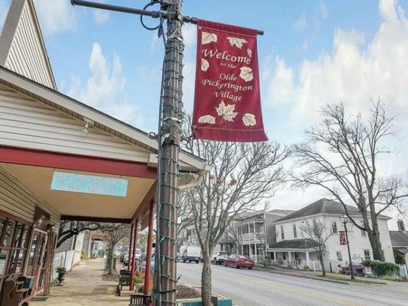 12225 Fedder Court, Pickerington, OH 43147 Photo 66