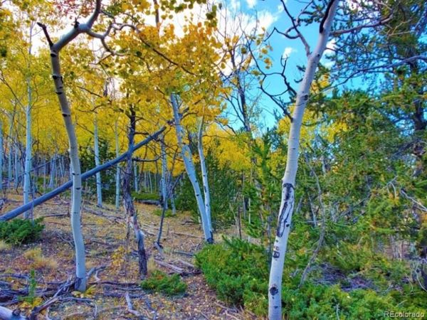2000 Hard Hickory Trail , Guffey, CO 80820