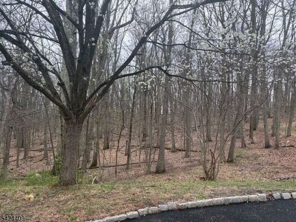 14 Cathy Ln, Mount Olive, NJ 07836