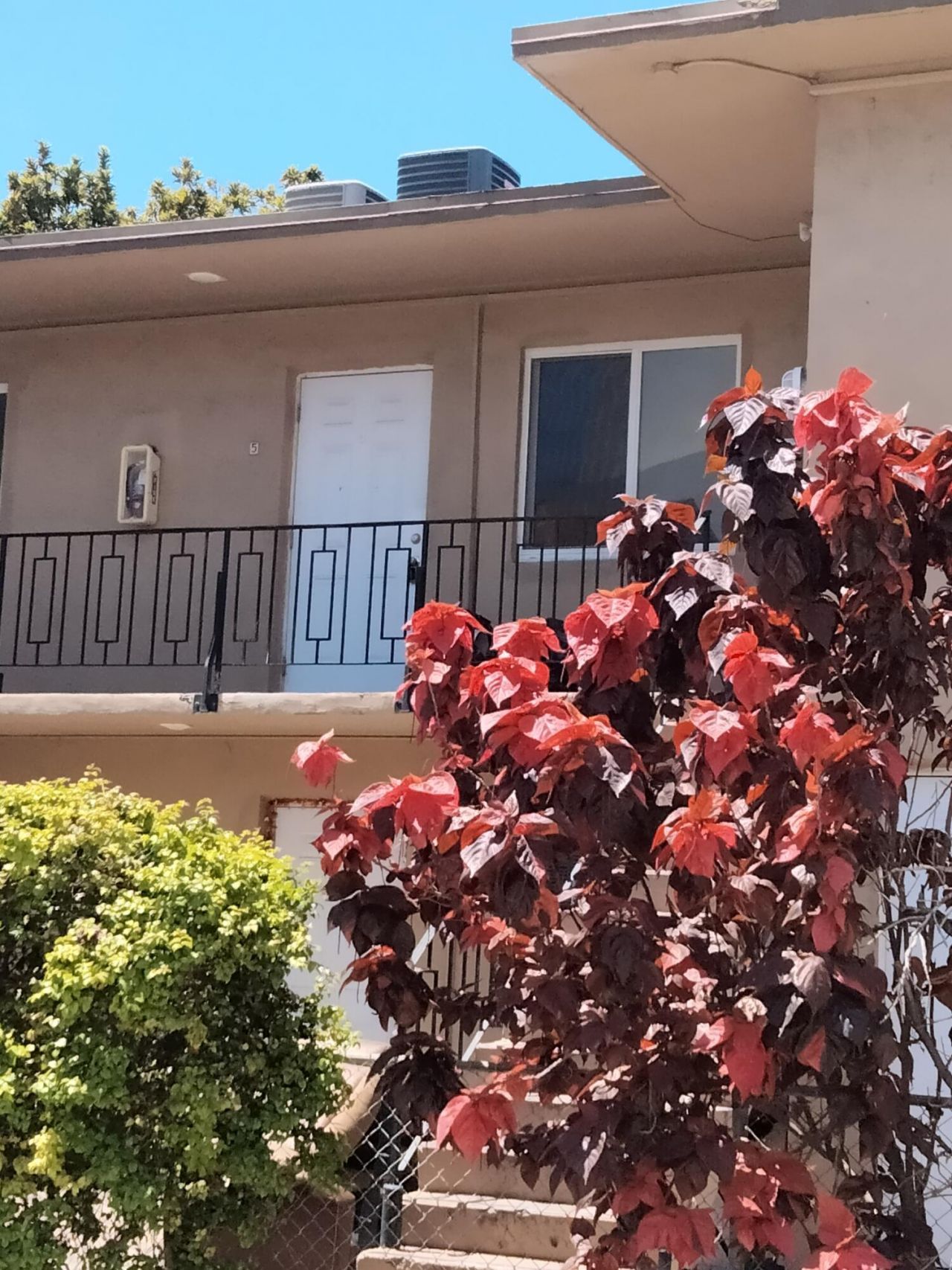 460 SW 7th Street, Miami, FL 33130 Photo