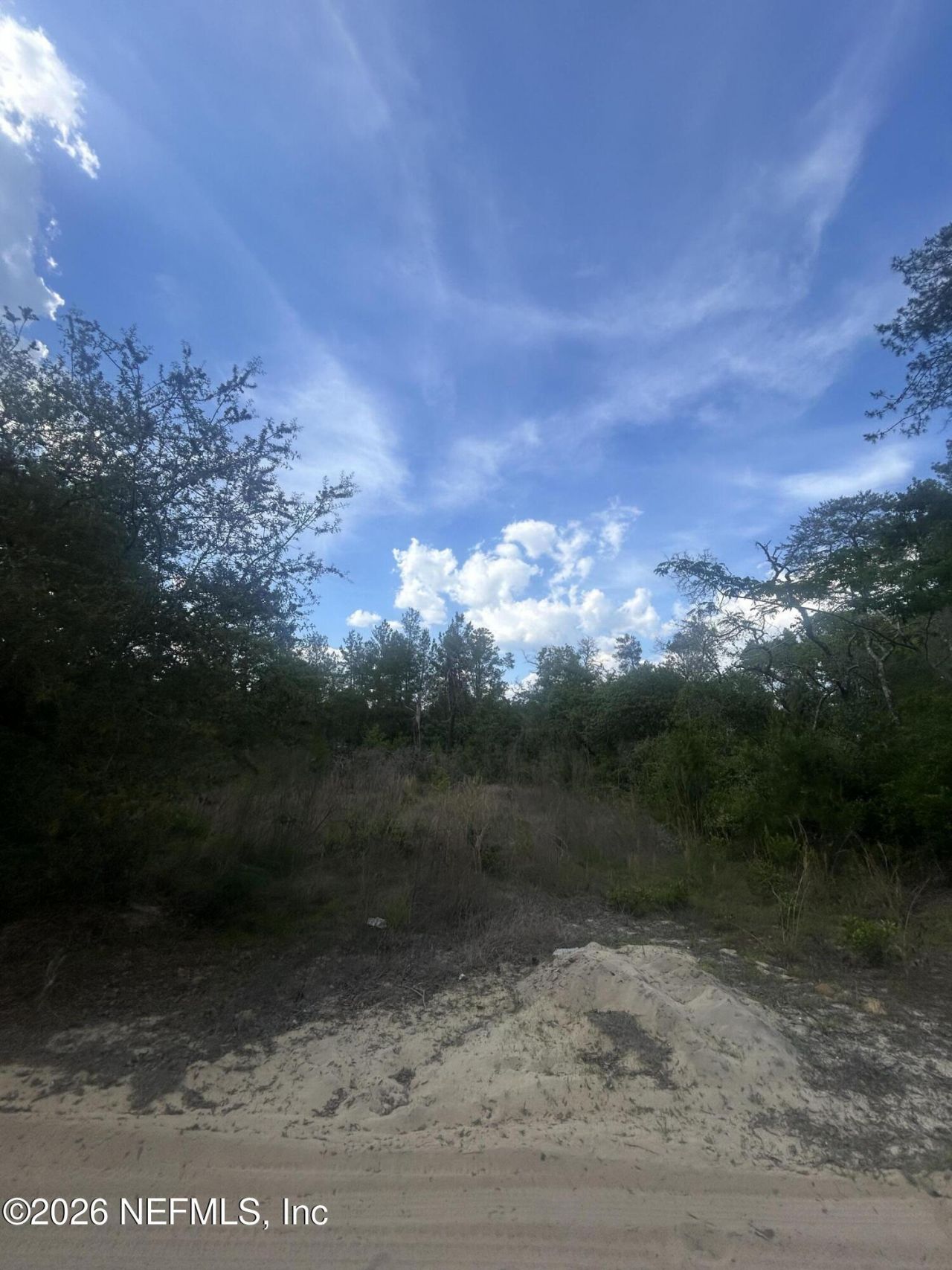 0 NE 233rd Place, Fort Mccoy, FL 32134 Photo