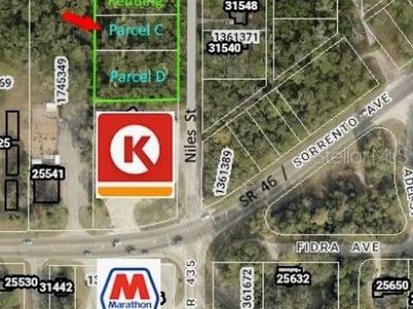 31577 NILES STREET , MOUNT PLYMOUTH, FL 32776