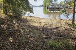 118 Club Court  photo 4