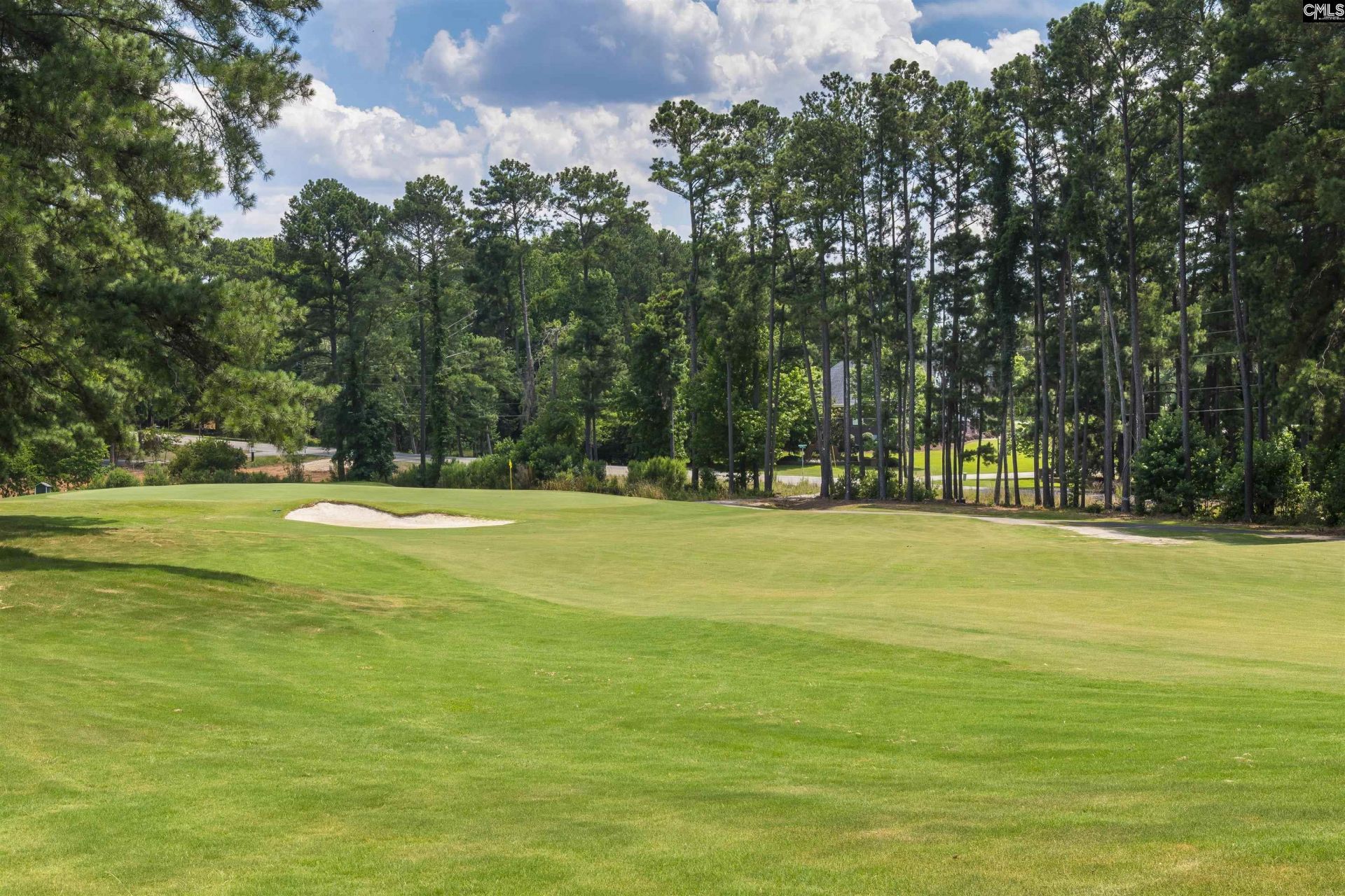 118 Club Court  Photo 4