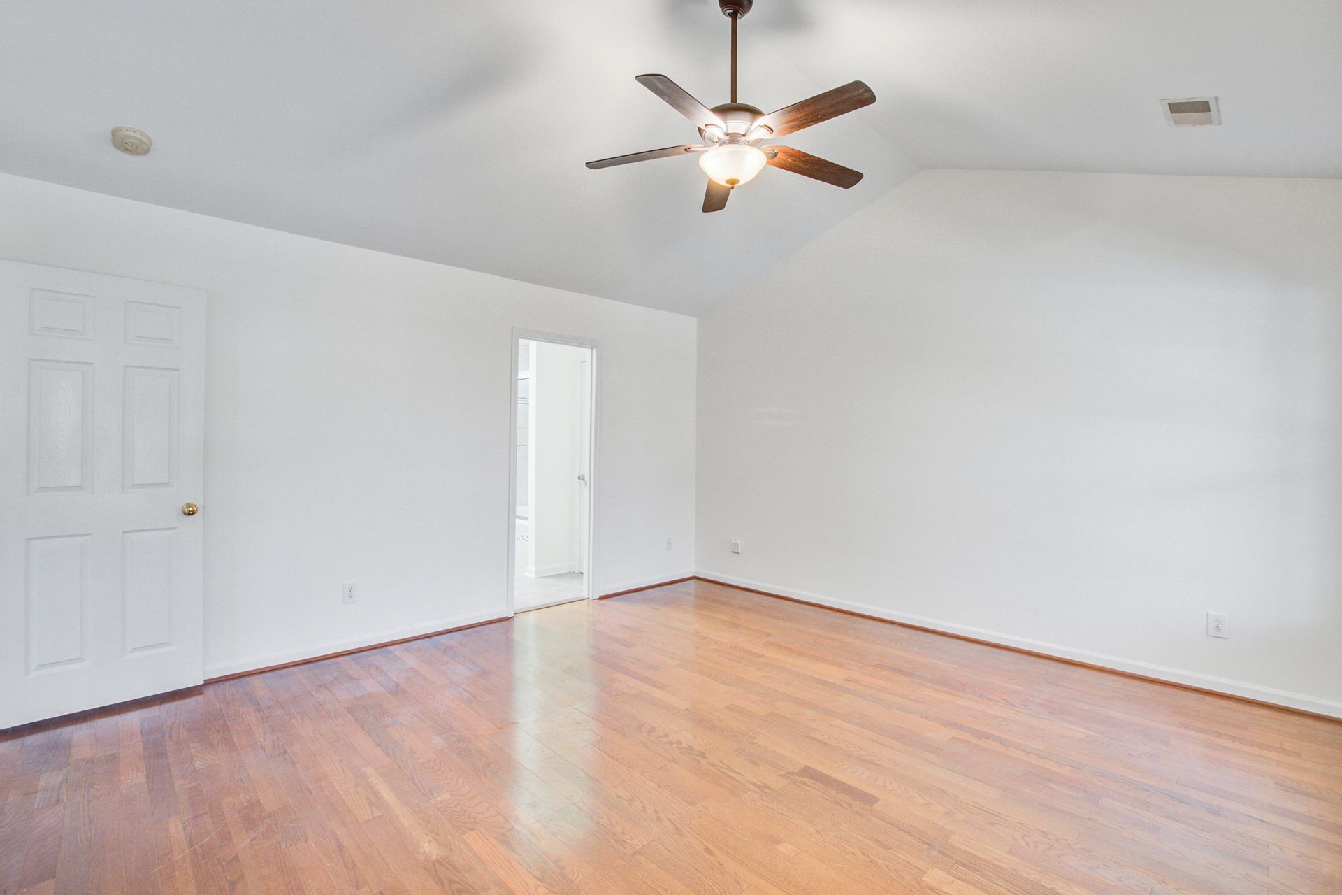 494 Dolphin Drive Photo 22