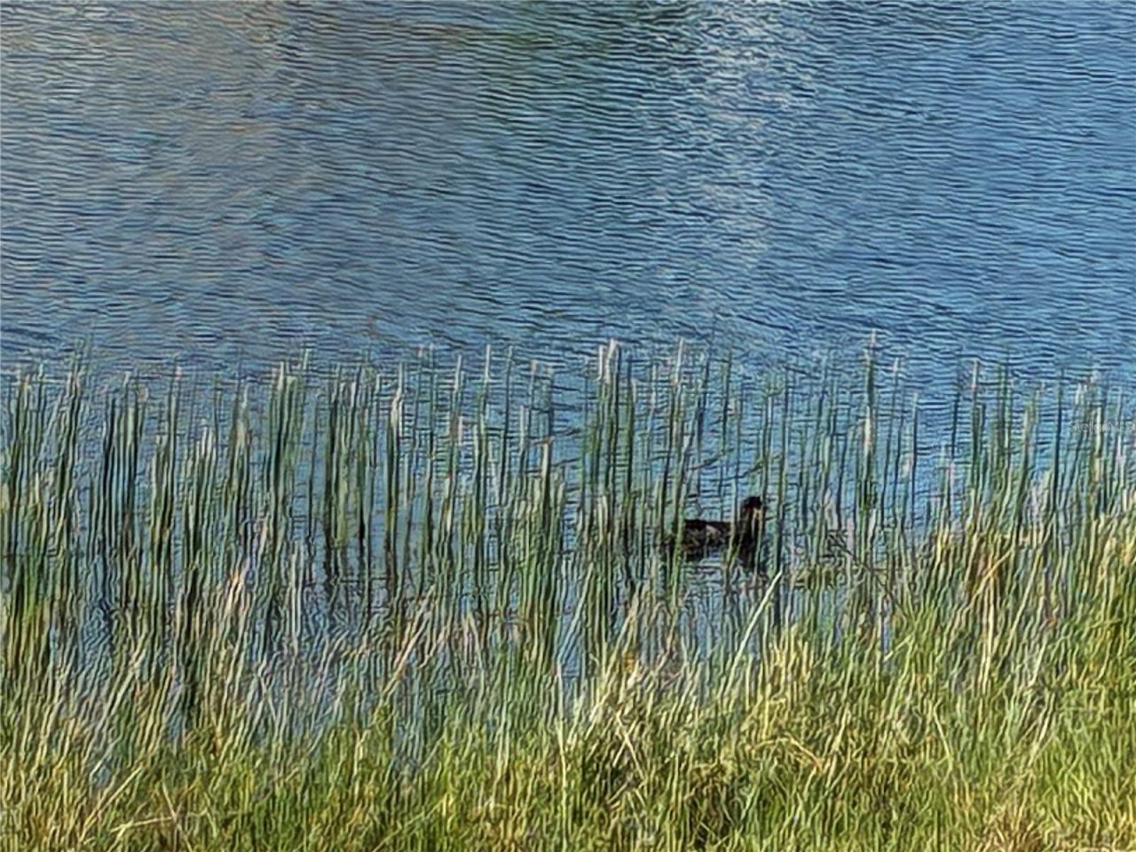 25161 E Lenox Circle , Punta Gorda, FL 33950 Photo