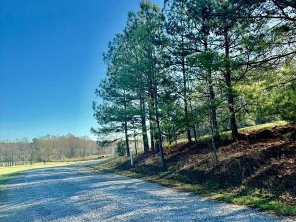 741 Poplar Springs Trail, Ashville, AL 35953