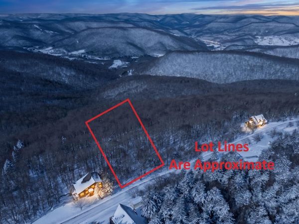 371 S West Ridge Road, Snowshoe, WV 26209