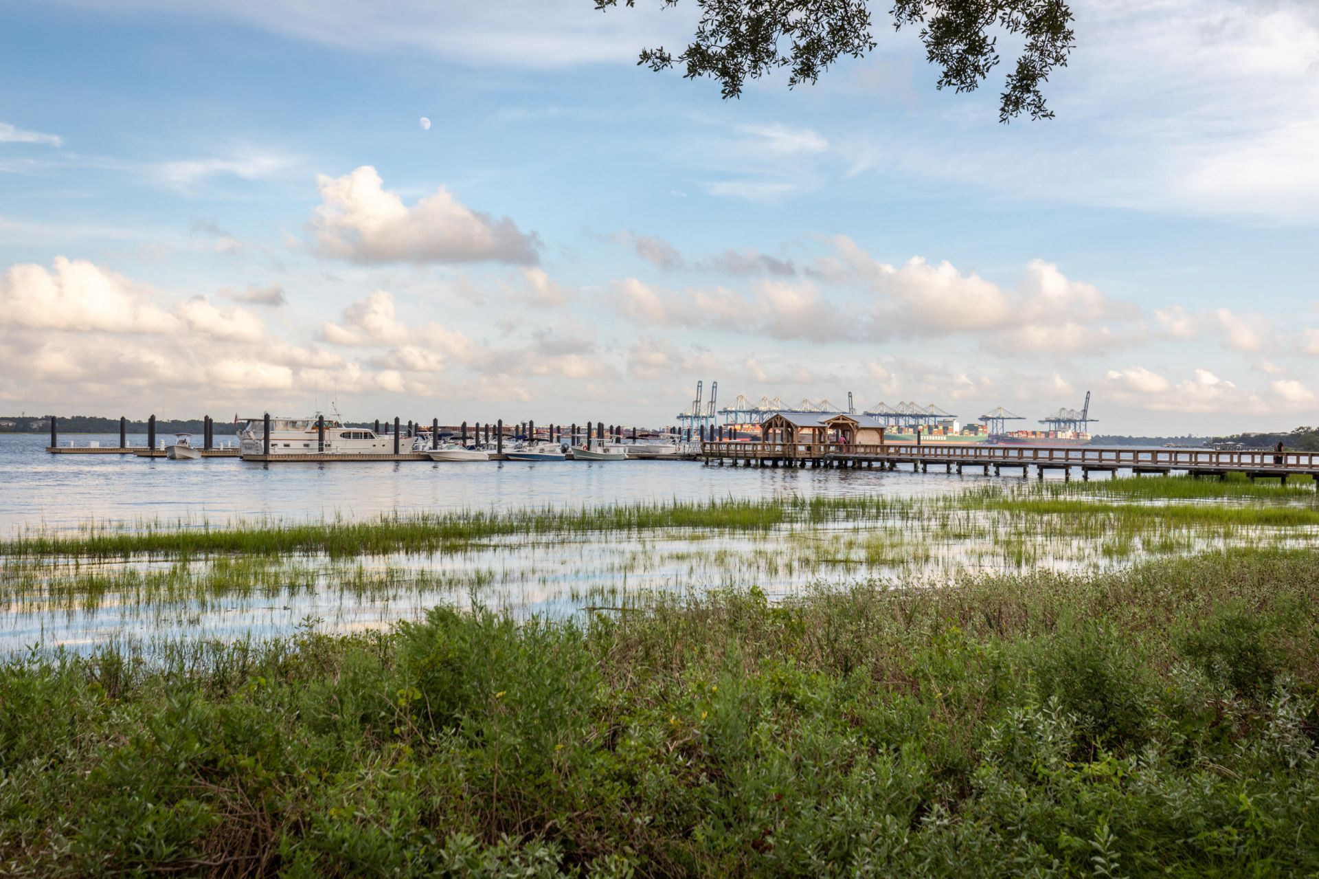 325 Longshore Street Photo 4