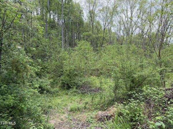 310 Mitchell Court, Jonesborough, TN 37659