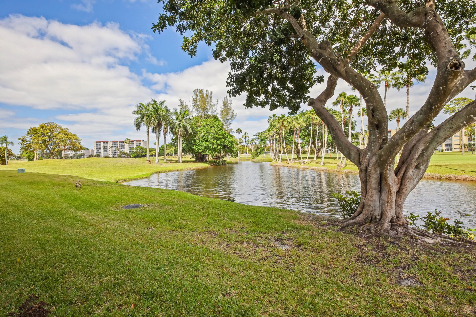 3595 Birdie Drive, Unit 108, Greenacres, FL 33467 Photo