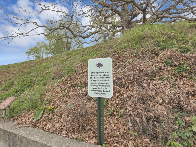 600 N Market Street, Logan, OH 43138 Photo 86