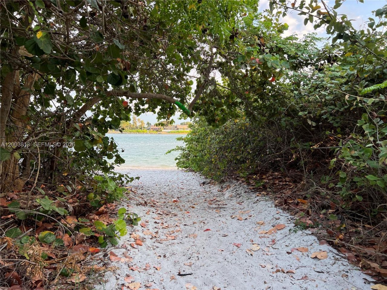 2800 N Highway A1a , Unit 204, Fort Pierce, FL 34949 Photo