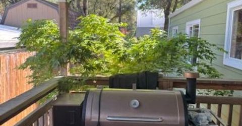 11280 Sierra Cir #4, Unit 4, Penn Valley, CA 95946 Photo