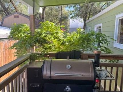 11280 Sierra Cir #4, Unit 4, Penn Valley, CA 95946 Photo