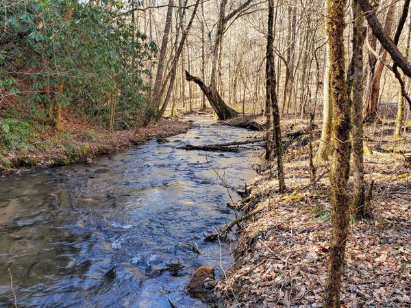 1968 E Millers Cove Rd, Walland, TN 37886