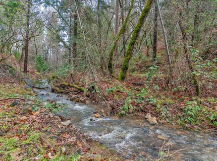 15-acres Old Vineyard, Placerville, CA 95667 Photo