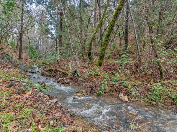 15-acres Old Vineyard, Placerville, CA 95667