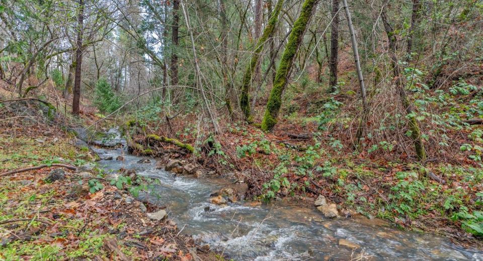 15-acres Old Vineyard, Placerville, CA 95667 Photo