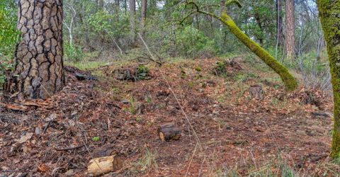 15-acres Old Vineyard, Placerville, CA 95667 Photo