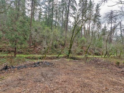 15-acres Old Vineyard, Placerville, CA 95667 Photo