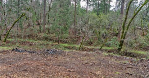 15-acres Old Vineyard, Placerville, CA 95667 Photo