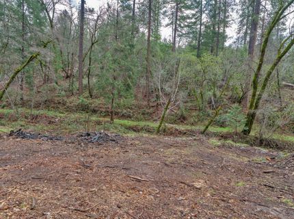 15-acres Old Vineyard, Placerville, CA 95667 Photo