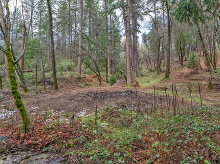 15-acres Old Vineyard, Placerville, CA 95667 Photo