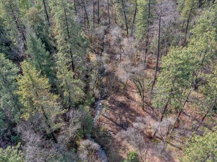 15-acres Old Vineyard, Placerville, CA 95667 Photo