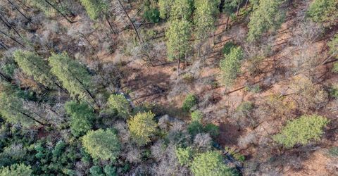 15-acres Old Vineyard, Placerville, CA 95667 Photo