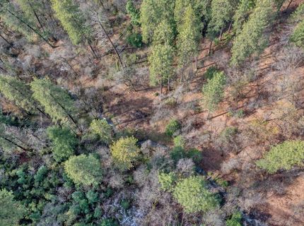 15-acres Old Vineyard, Placerville, CA 95667 Photo