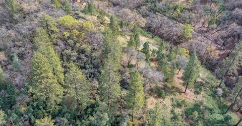 15-acres Old Vineyard, Placerville, CA 95667 Photo