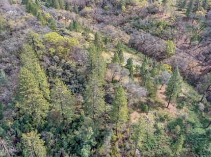 15-acres Old Vineyard, Placerville, CA 95667 Photo