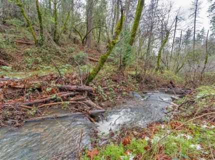 15-acres Old Vineyard, Placerville, CA 95667 Photo