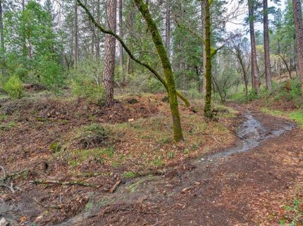 15-acres Old Vineyard, Placerville, CA 95667 Photo