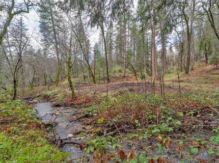 15-acres Old Vineyard, Placerville, CA 95667 Photo