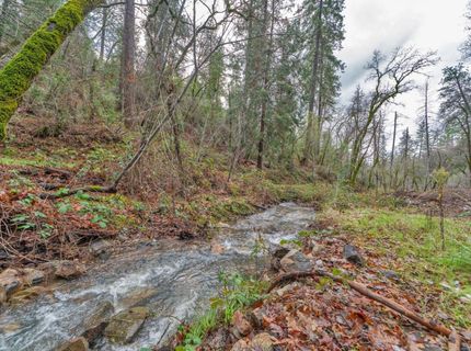 15-acres Old Vineyard, Placerville, CA 95667 Photo