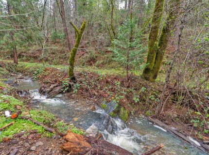 15-acres Old Vineyard, Placerville, CA 95667 Photo